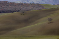 /album/foto-adriano/58a5073-copia-jpg/